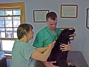 At the microchip clinic