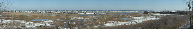 The Marshes